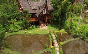 Padi Ecolodge